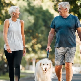 a man and a woman walking a dog on a leash